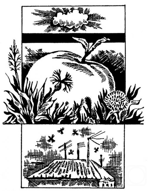 �������. �������� ��������. ������� ��� ��������