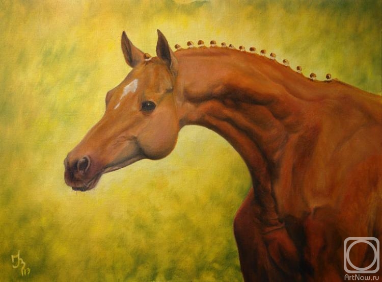 ������� ������ �� ������. ��������� �����. ������� �19