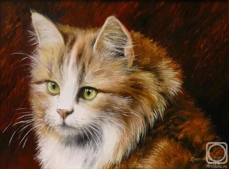 ������� ������ �� ������. �������� ��������. �����