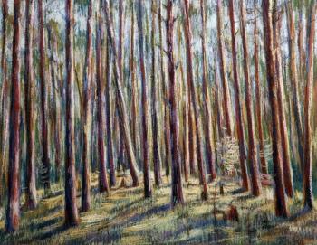 ������� �������� ���