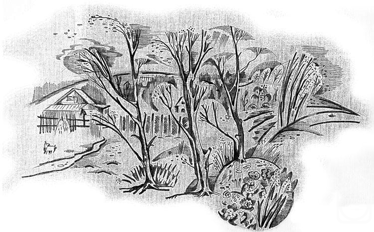 �������. �������� ��������. ������� �������