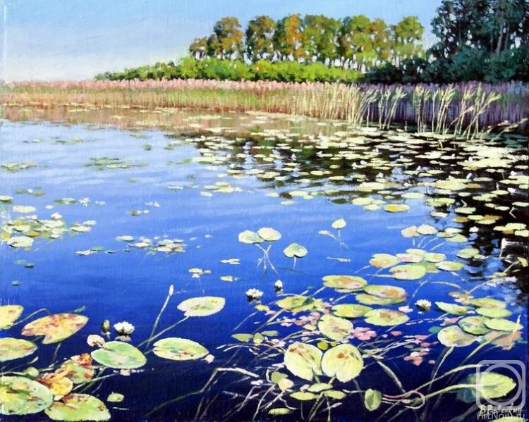 ������� ������ �� ������. �������� ������. ����� ������