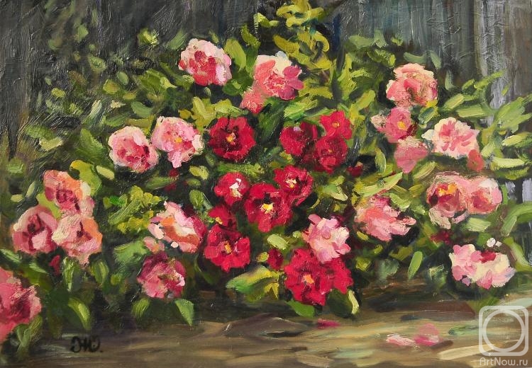 �������. ��������� ����. ������� ��������