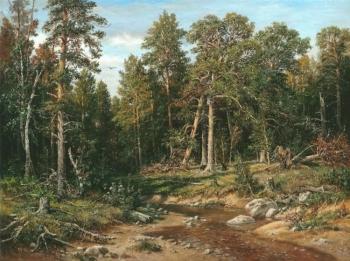 Pine forest. Mast forest in Vyatka province (). Borisova Irina