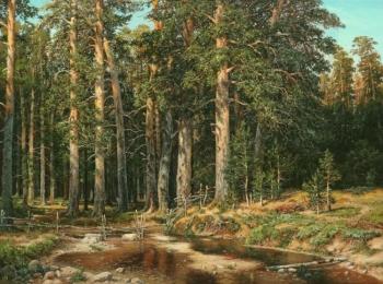 ������� ������������ ����