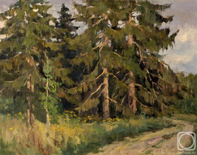 Serebrennikova Larisa. Old spruce trees