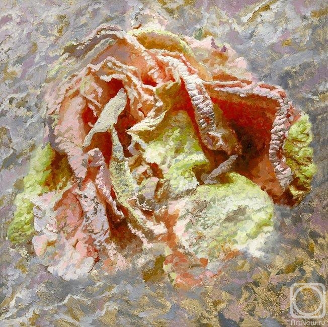 ������� ������ �� ������. �������� �����. ��������