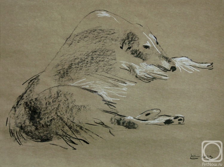 Goda Laima. Russian greyhound 2