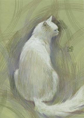 ������� ���� ����