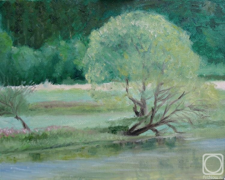 �������. ��� ������. �������� ���� (����)