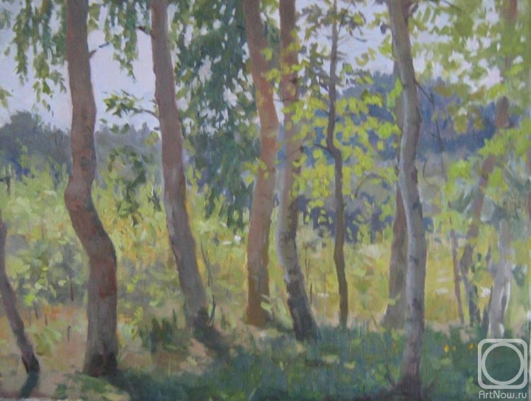 Saprunov Sergey. Birches