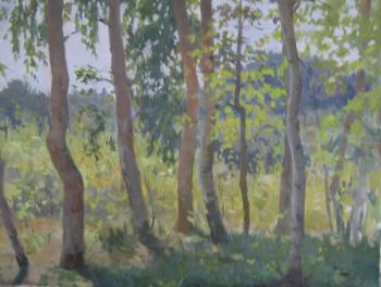 Birches. Saprunov Sergey