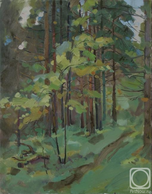 Arepyev Vladimir. Untitled