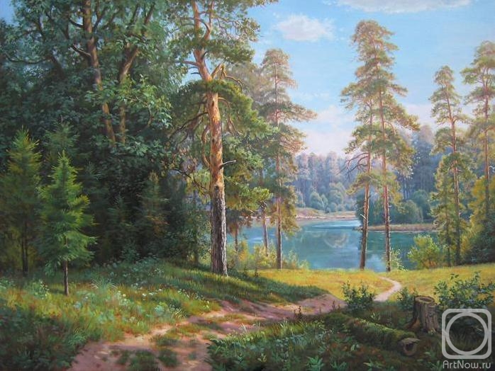Potapov Vitaliy. Path to the lake