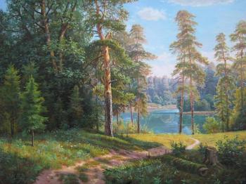 Path to the lake. Potapov Vitaliy