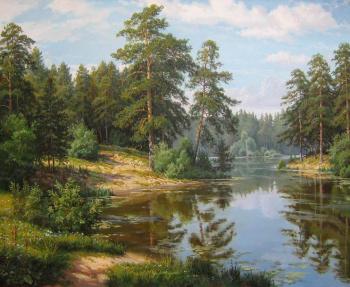 A lake in a pine forest