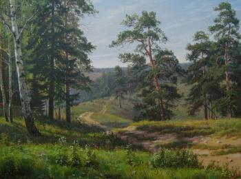 Road in the forest. Potapov Vitaliy