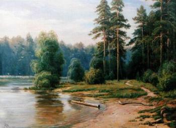 On the shore of a forest lake