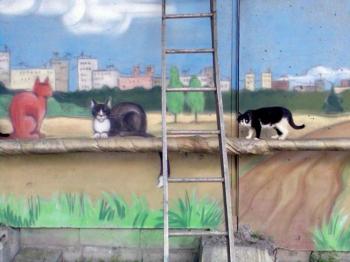 Cats on a pipe (fragment)