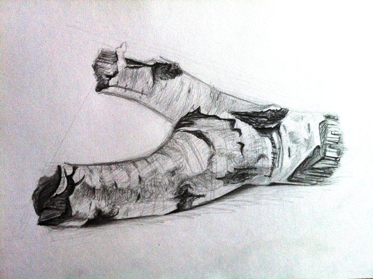 �������. ���������� �����. �������