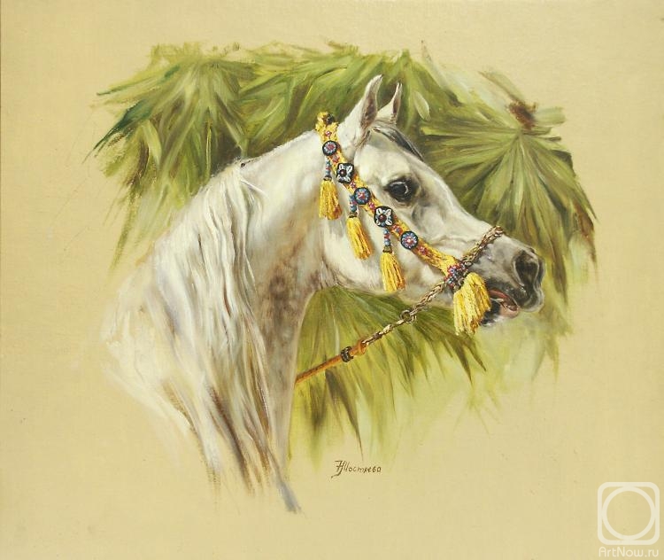 ������� ������ �� ������. �������� �������. ������ �������� ������