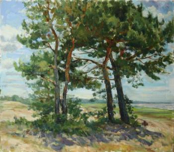 ������� ������ �� ������� �����