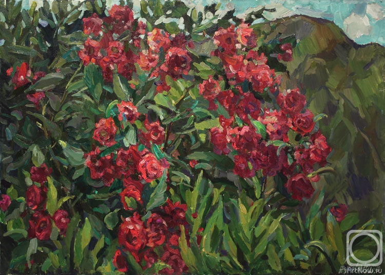 ������� ������ �� ������. ������ ����. ���� � �����