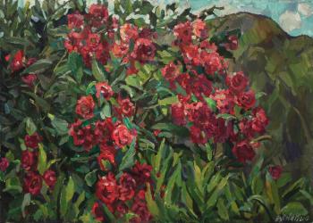 Roses in the mountains ( Bush Of Red Roses). Zhukova Juliya
