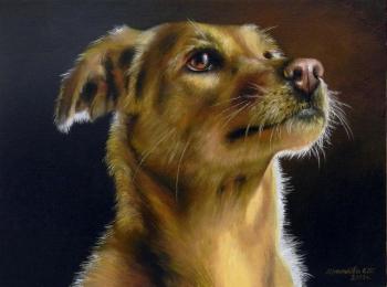 ������� �������������