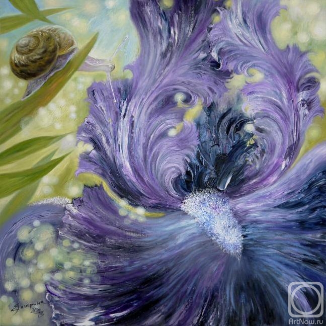 ������� ������ �� ������. �������� �����. ��������� �������