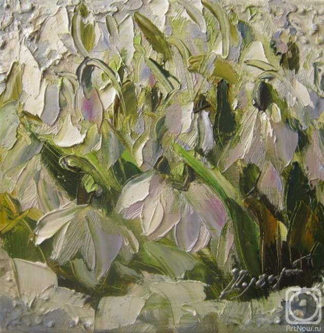 ������� ������ �� ������. ������ �������. �����������