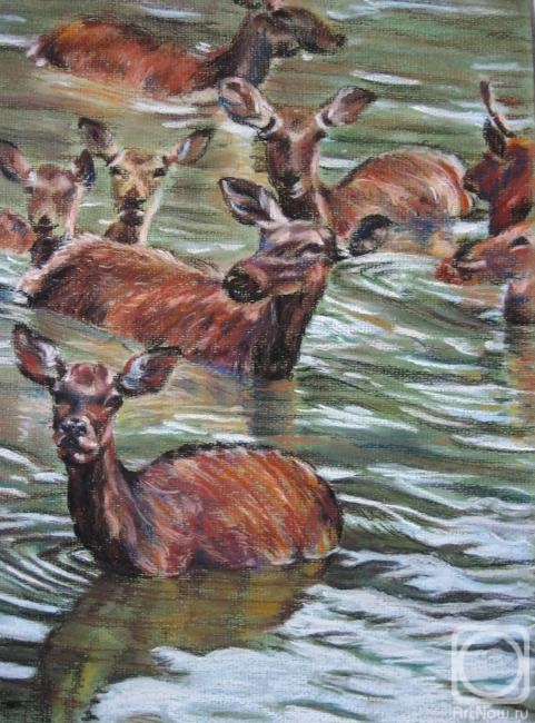 �������. ��� �����. �����