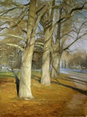 ����� � ����� ��������. �������. ������� ���������