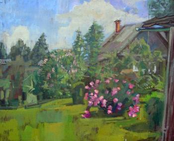 Peonies in the garden. Bernatskiy Nikolay