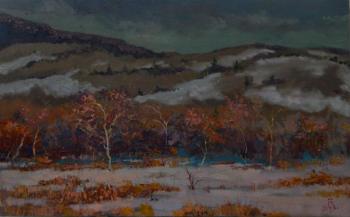 ������� ��� ���������� ����