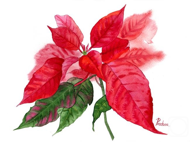 �������. ������� �������. ������� ���������� � �������� ��������