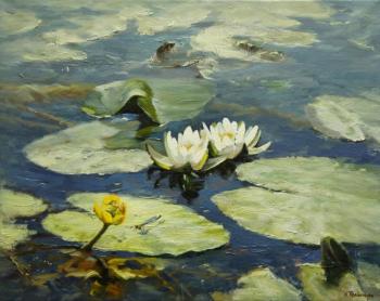 ������� ���������