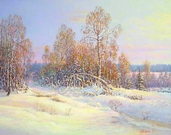 Winter in Moscow. Tsaritsyno. Panin Sergey