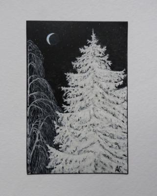 Winter Night (Fir Birch). Gudkov Andrey