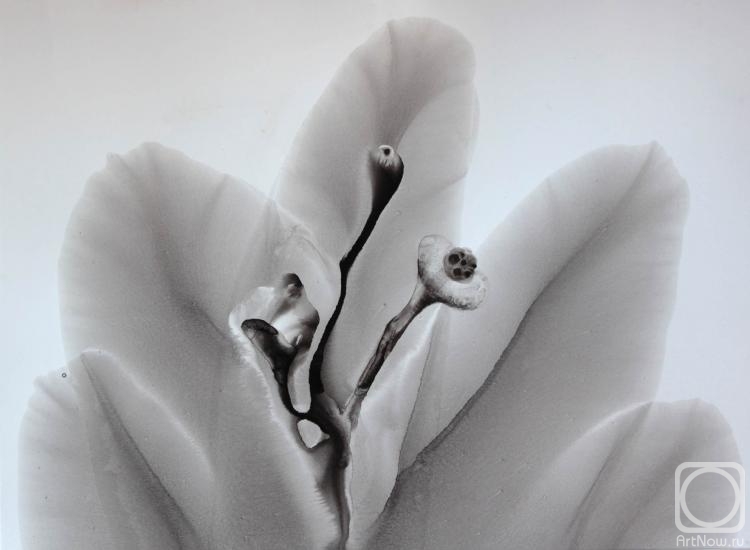 �������. ���������� �������. ��������