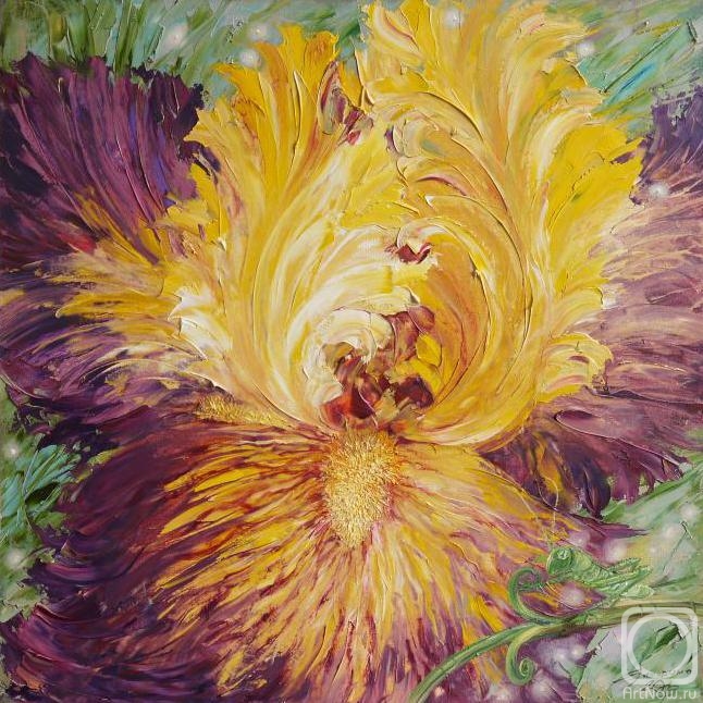 ������� ������ �� ������. �������� �����. ����������� �� ���