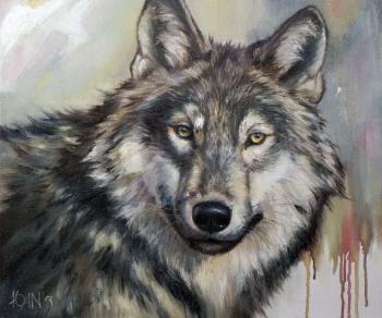 Wolf, Grey Wolf
