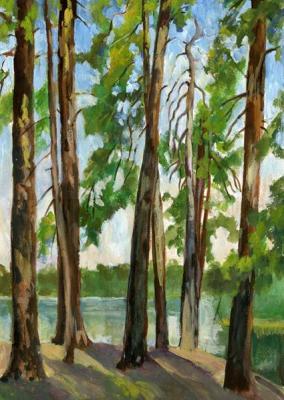 Pines on Divnoi Lake (etude). Malancheva Olga