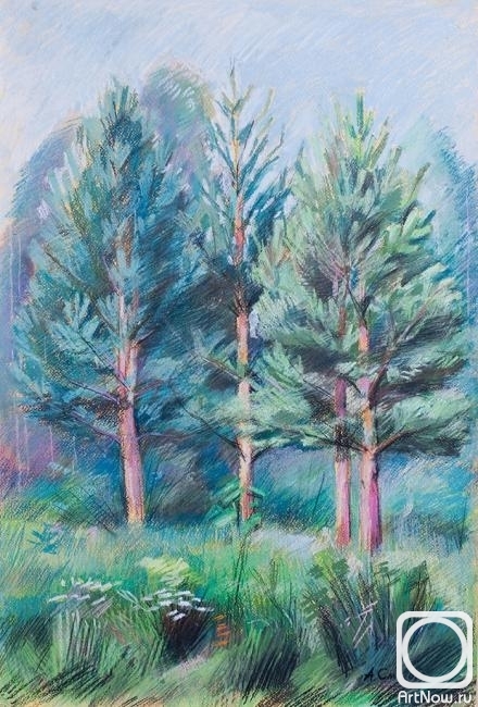 Smirnov Alexei. 4 pines