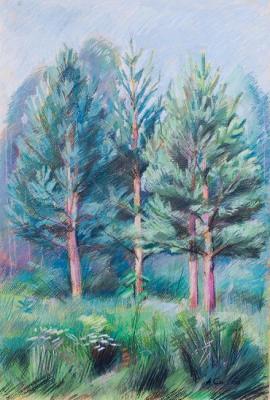 4 pines. Smirnov Alexei