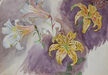 Painting Lilies. Dobrovolskaya Gayane