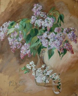 Bouquet of lilac and cherry branch