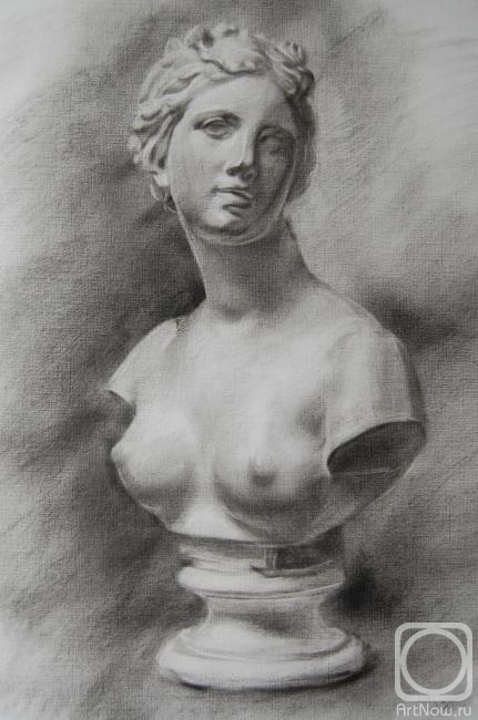 Dobrovolskaya Gayane. Bust Of Venus