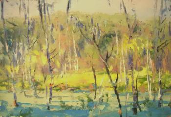 ������� ����������