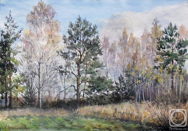 �������. ���������� �����. �� ���� �������